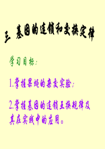 连锁交换-PowerPoint演示文稿