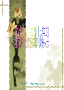 连锁商业经营概述