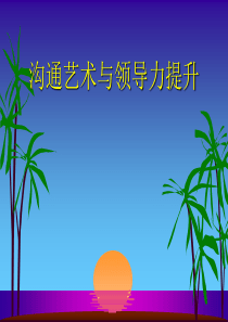 大学管理学--沟通艺术与领导力提升