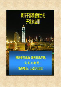 XXXX最新的领导干部情感智力的开发与应用