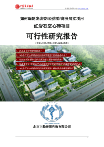 如何编制发改委立项用红岩石空心砖项目可行性研究报告(甲级-发改委-经信委-商务局-备案-核准)