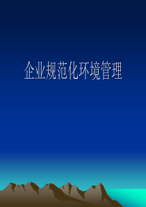 企业内部规范化环境管理