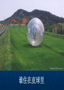 谁住在皮球里