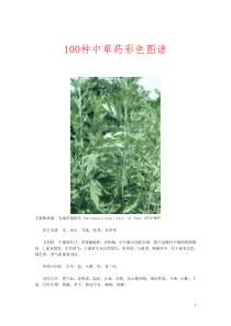 100种中草药彩色图谱