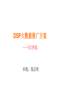 DSP推广方案