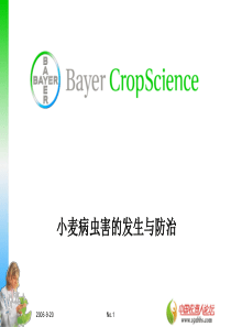 拜耳小麦田病虫害的发生与防治(改)_Oct 22_2006