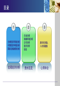 股票投资分析报告