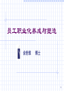 15余世维讲义全集员工职业化养成与塑造