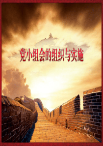 党小组会组织实施