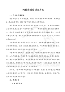 天猫运营方案计划书(团队)