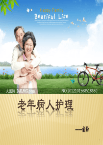 老年人护理ppt课件