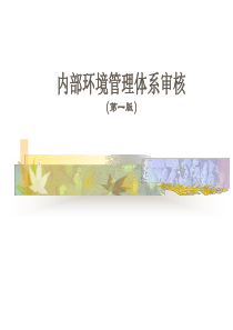 内部环境管理体系审核