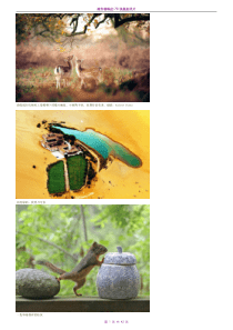 让你养眼的70张摄影照片