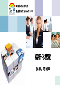 精细化营销(讲师版)