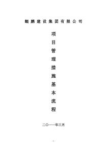 29号附件项目管理措施基本流程