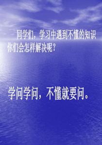 不懂就问ppt课件