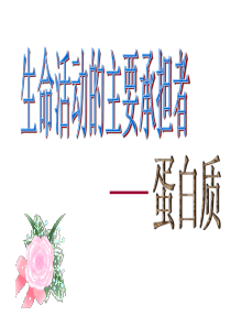 2.2生命活动的主要承担者--蛋白质  PPT课件  人教版