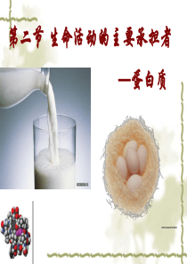 2.2生命活动的主要承担者――蛋白质