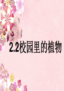 2.2苏教版科学三上《校园里的植物》PPT课件