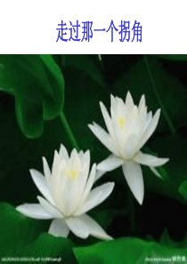 走过那一个拐角