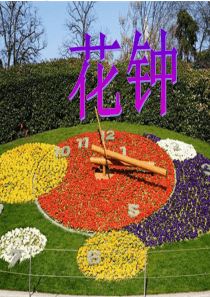 三年级语文《花钟》ppt