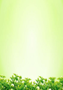 苏教版三年级数学下册分数的初步认识(二)