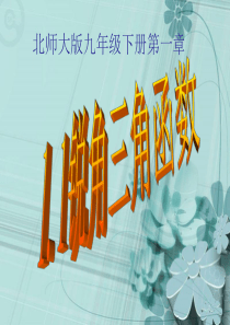 (北师大版)数学九年级下册：1.1《锐角三角函数》课件