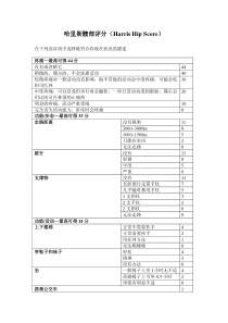 髋部评分