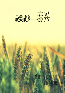 最美故乡-----泰兴