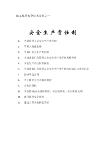 安全资料全套(新疆十三本)