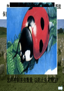 对于某水体中的鱼