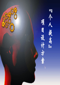 个人项目提高方案