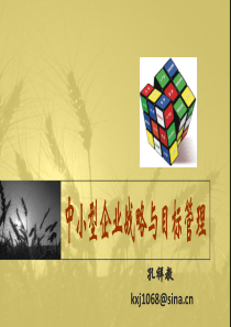 中小企业战略与目标管理(上报)