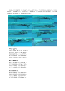 蛙泳教学、蛙泳换气技巧、蛙泳分解动作(图文)