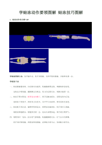 学蛙泳动作要领图解-蛙泳技巧图解