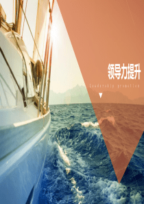 领导力提升(外企精品)（PPT49页)