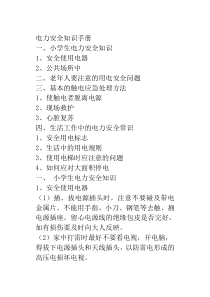 电力应急手册文字版