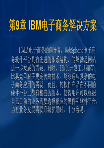 IBM电子商务解决方案