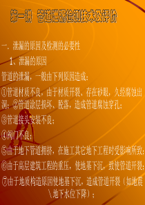 管道泄漏检测技术方法及评价-PPT讲义