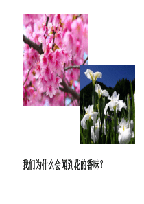 人教版九年级化学上册第三单元课题1分子和原子(共41张PPT)