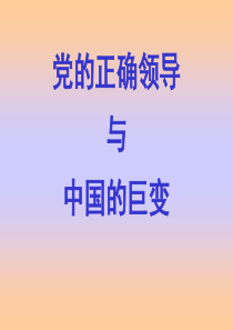 党的正确领导