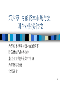 第六章(下篇)内部资本市场与集团财务管理