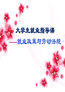 66就业政策与劳动法规解析