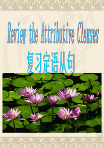 2013高考英语 定语从句复习