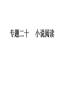 2011年中考语文复习专题20 小说阅读课件 人教新课标版