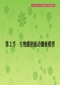 【金牌学案】人教版2015-2016学年高中生物必修一同步教学资料课件 4.2  生物膜的流动镶嵌模
