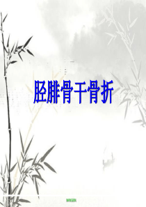 胫腓骨干骨折