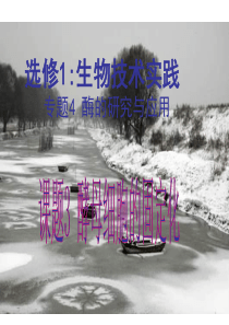 高二生物酶的研究与应用2