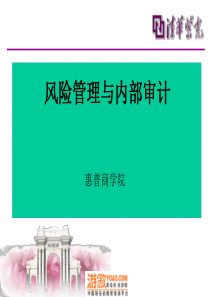 风险管理与内部审计—惠普商学院(PPT_85页)