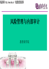 风险管理与内部审计（PPT85页）